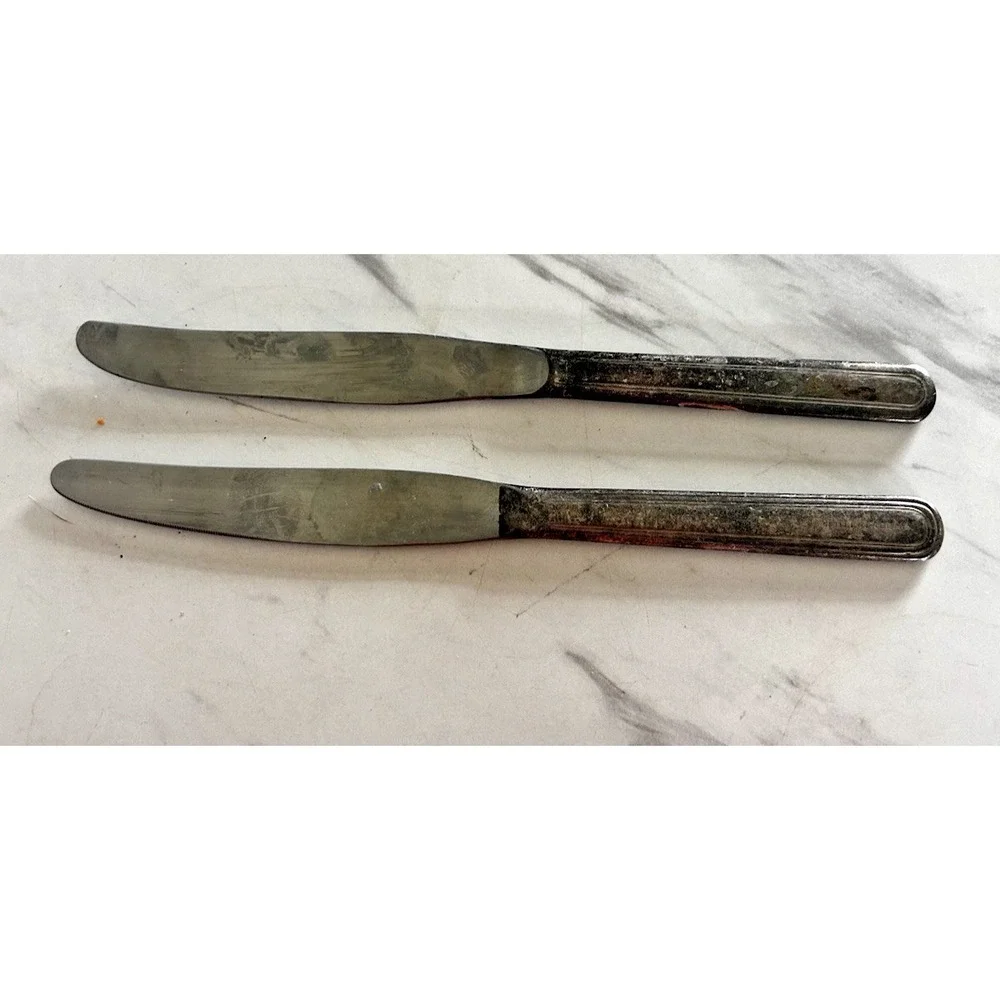 Vintage Dinner Knives Knife Hotel Vendome Boston MA Stainless Blades Lot of 2